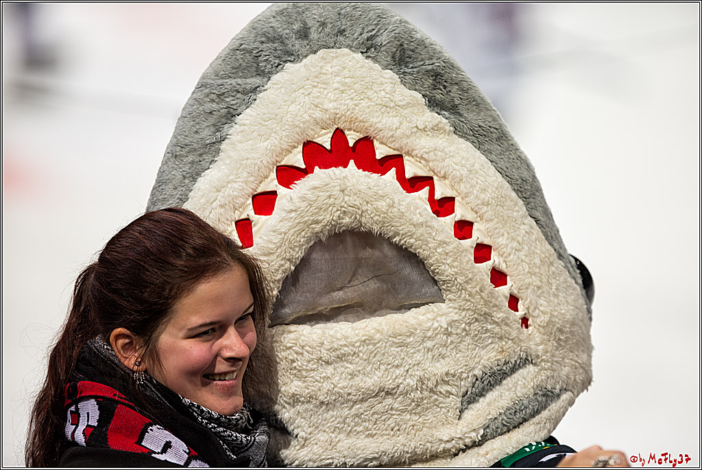 Koelner Haie - EHC Red Bull Muenchen , 16.09.16(KW37)